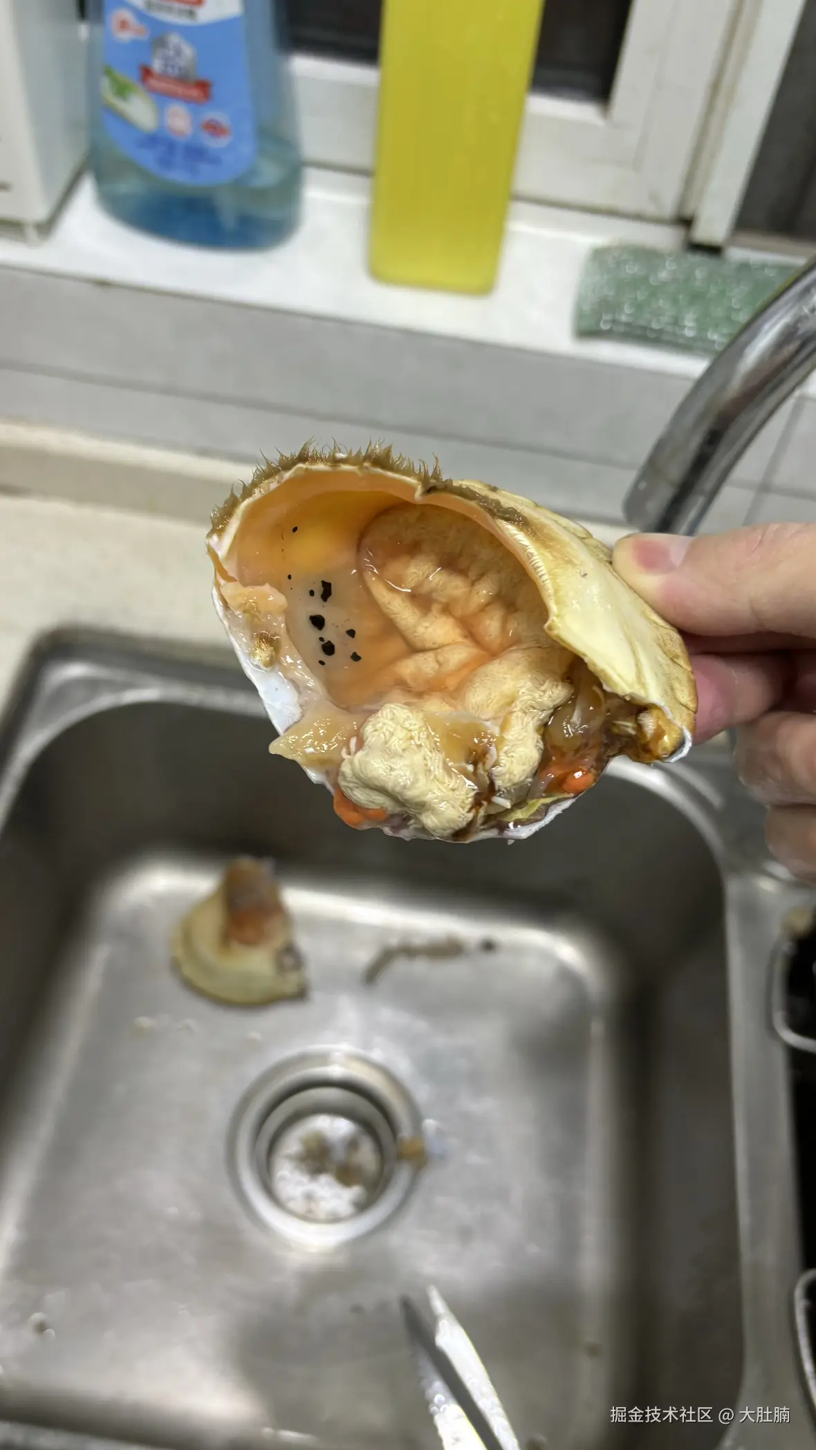 大肚腩于2025-01-12 11:35发布的图片