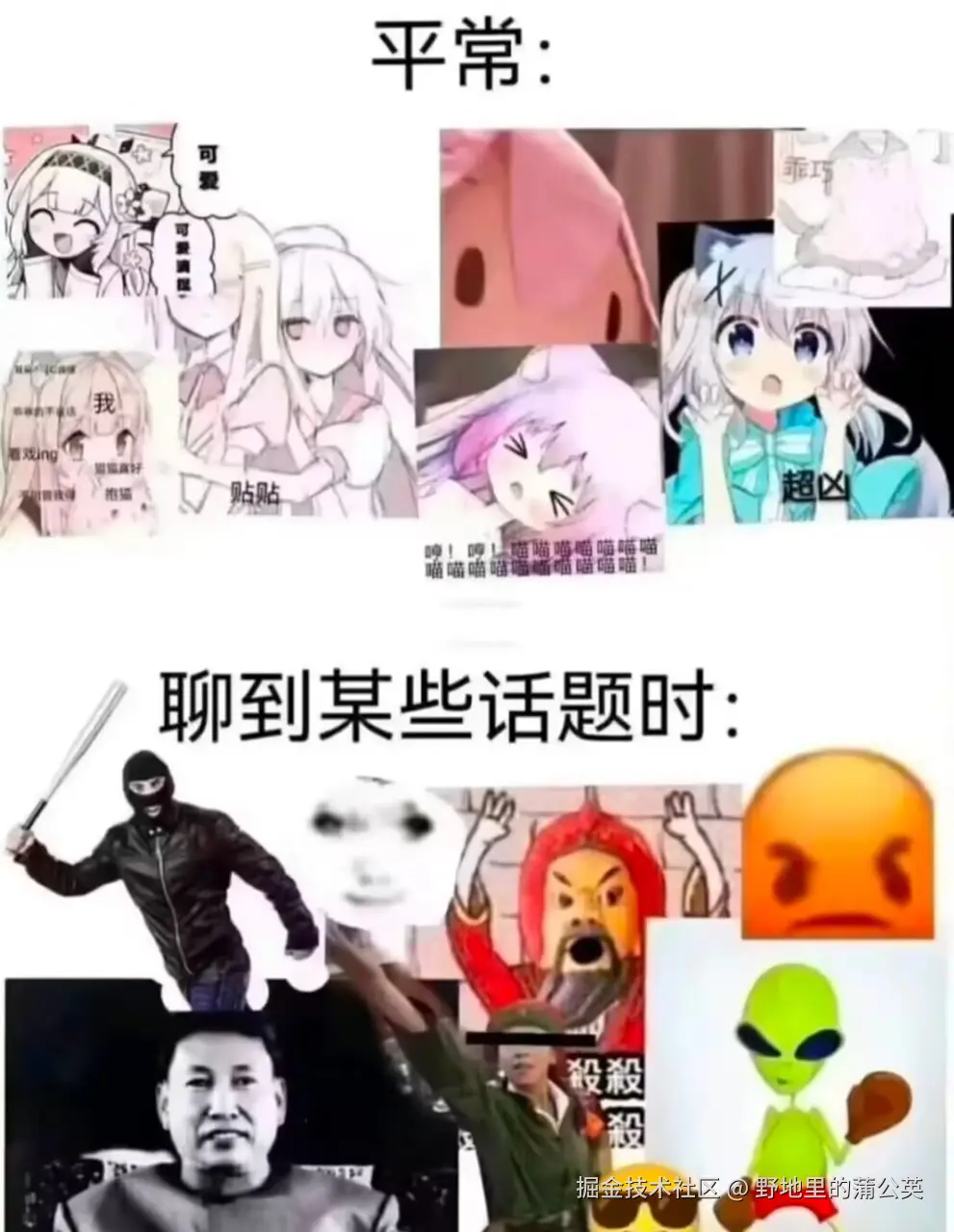 野地里的蒲公英于2025-05-07 08:44发布的图片