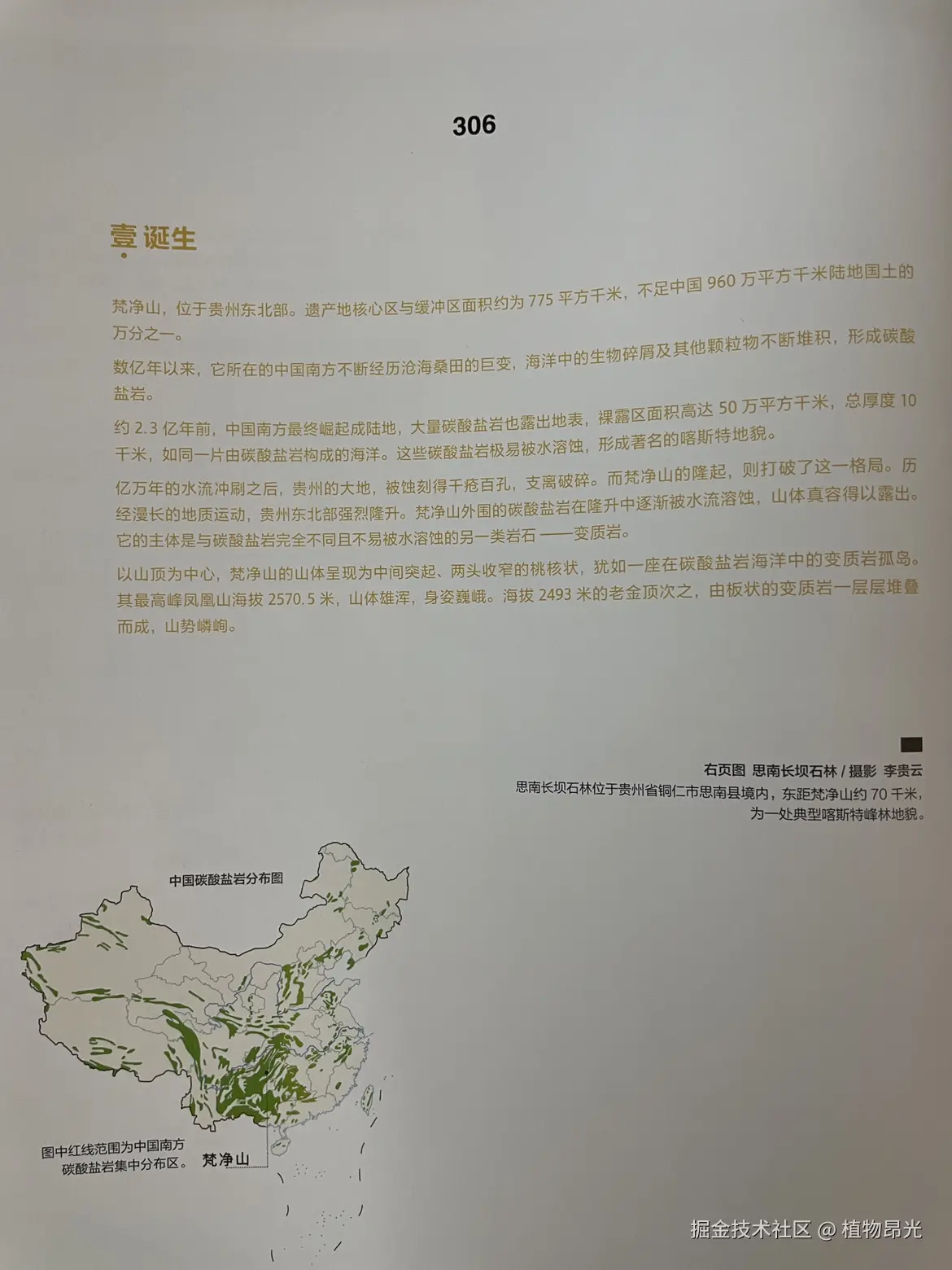 植物昂光于2026-04-06 16:14发布的图片