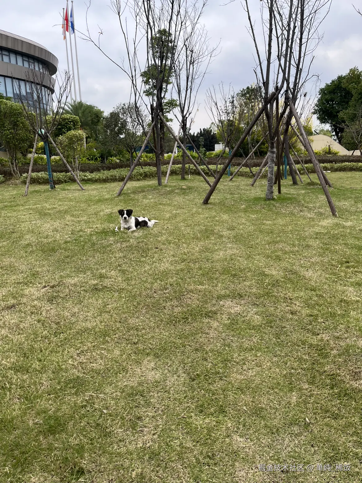 单纯_稀饭于2024-12-05 12:43发布的图片