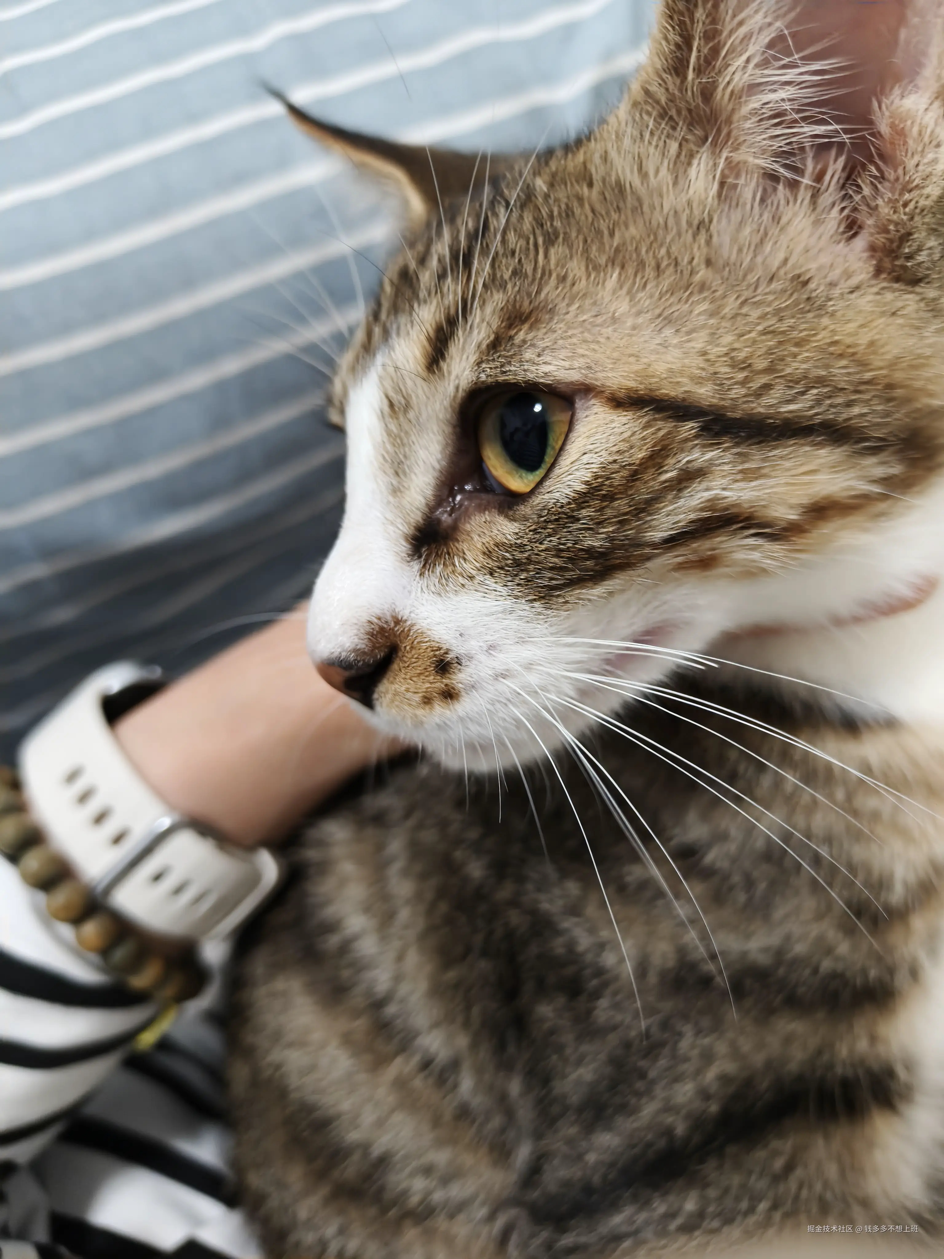 钱多多不想上班于2025-10-17 13:58发布的图片