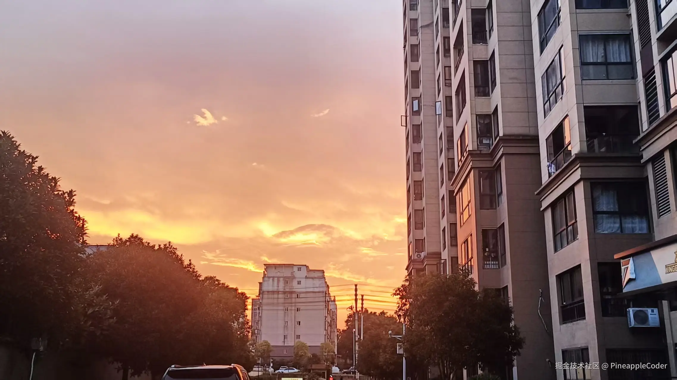 PineappleCoder于2025-07-18 22:12发布的图片