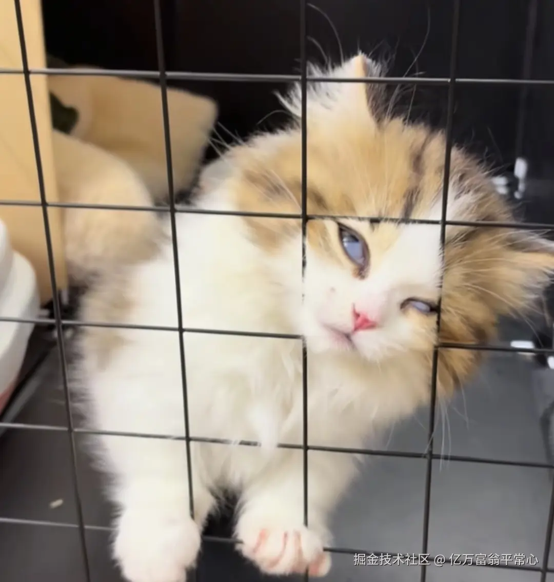 亿万富翁平常心于2025-05-26 22:10发布的图片