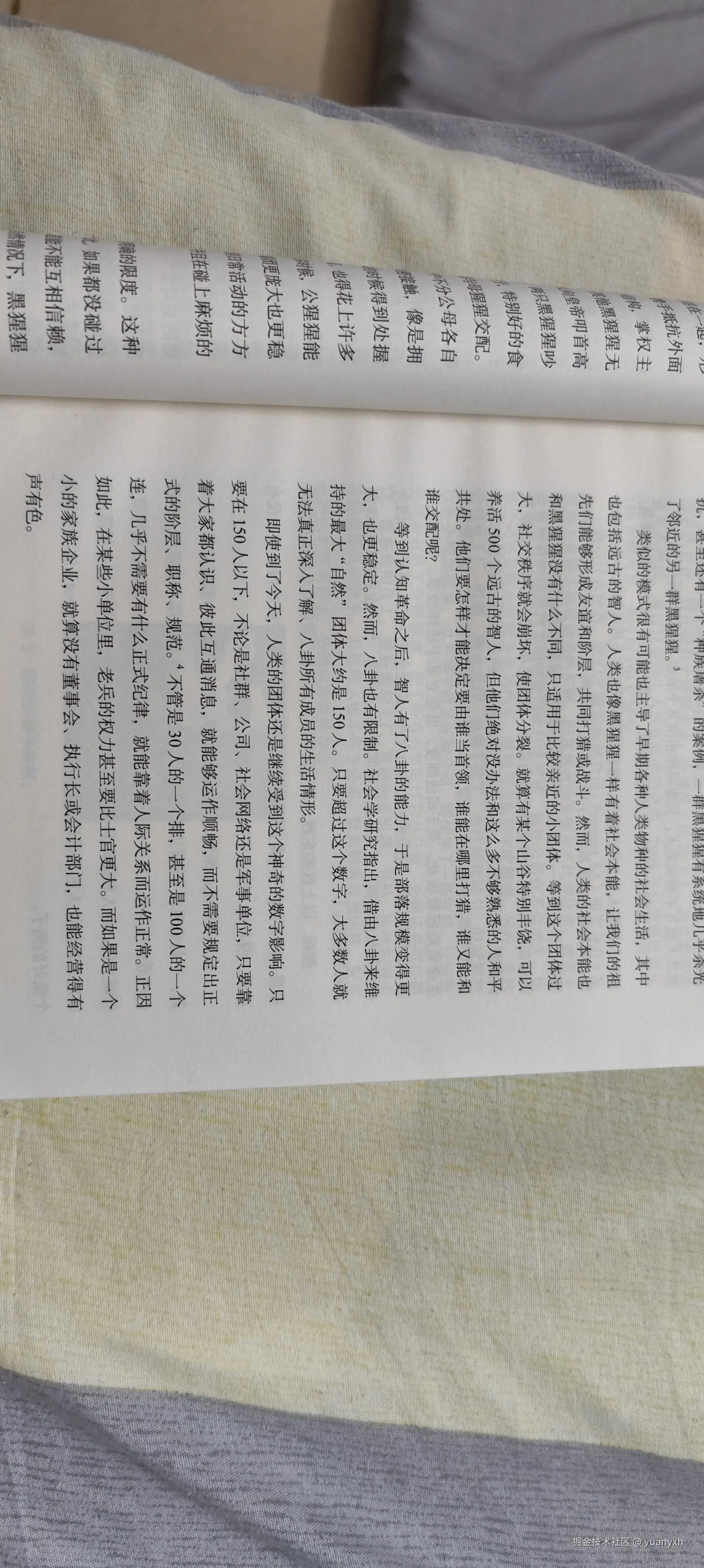 yuanyxh于2025-05-15 10:05发布的图片