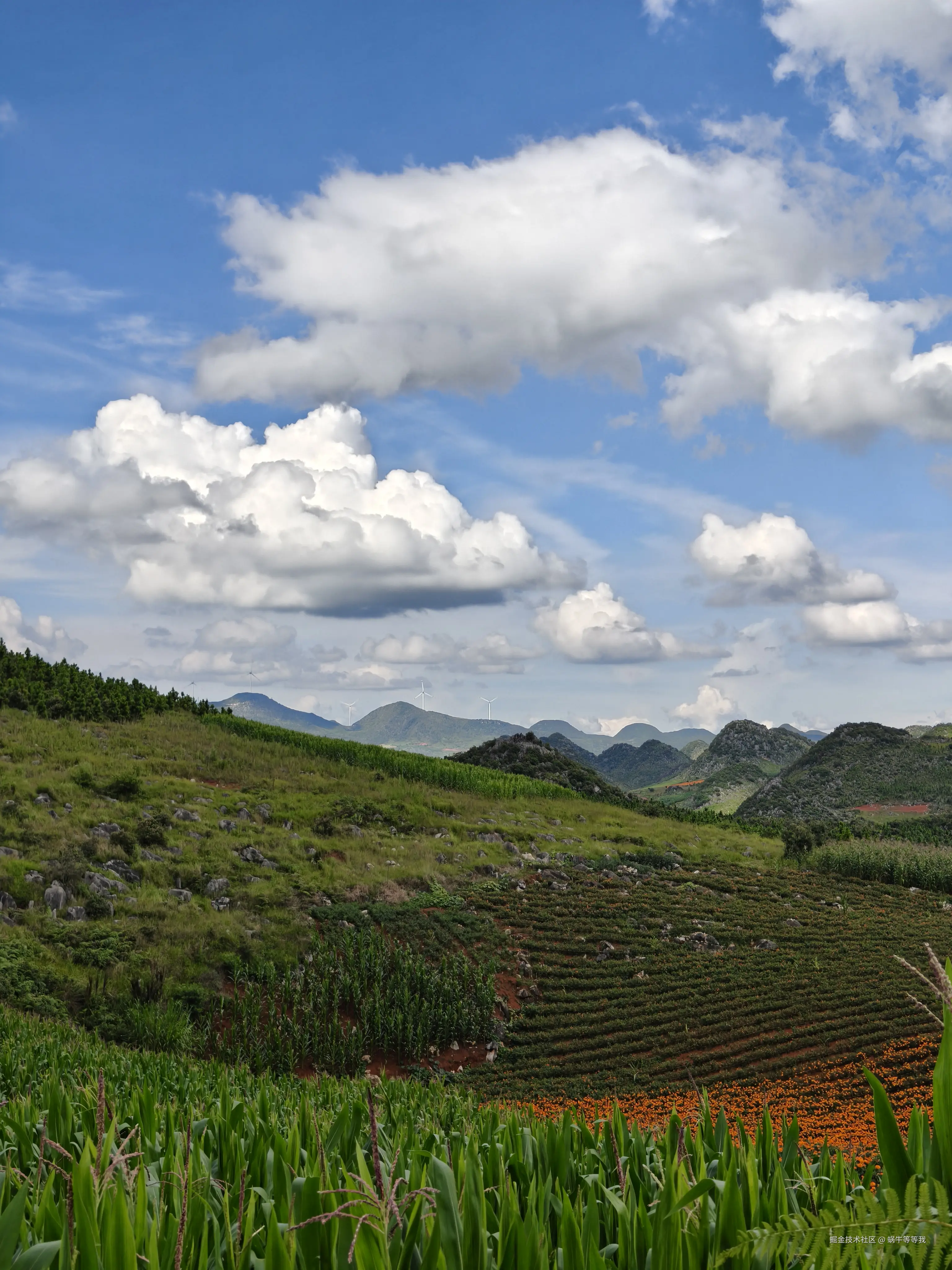 蜗牛等等我于2025-08-25 09:17发布的图片