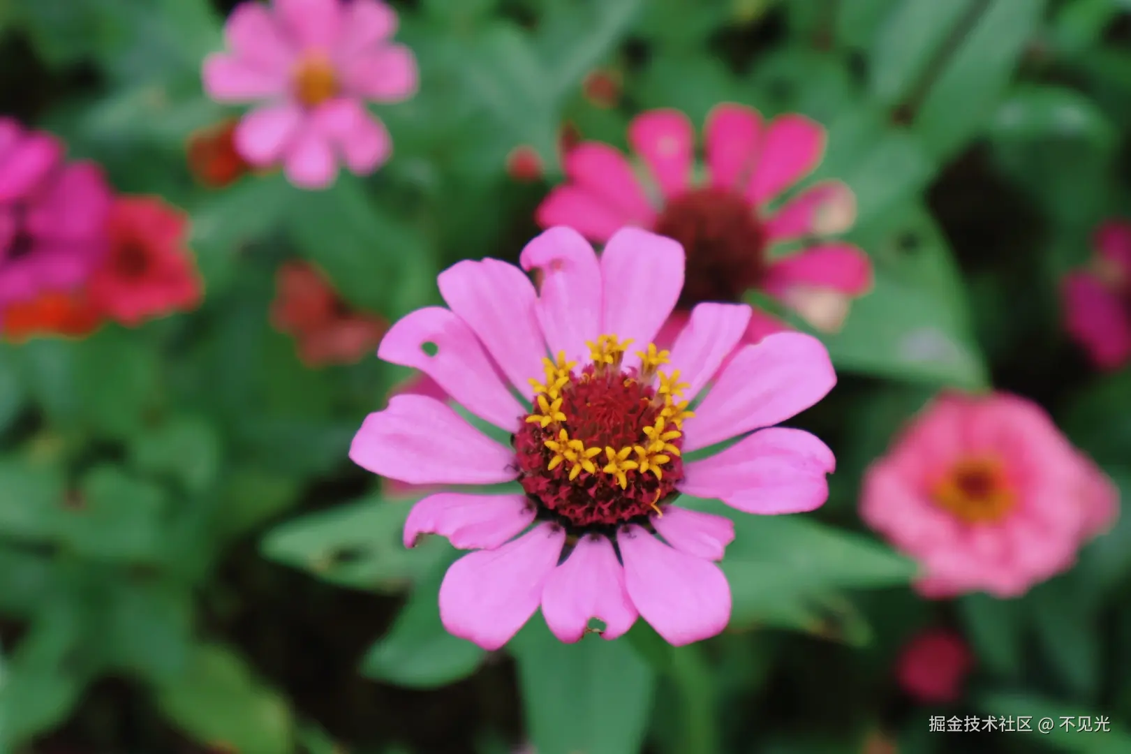 不见光于2025-11-03 17:08发布的图片