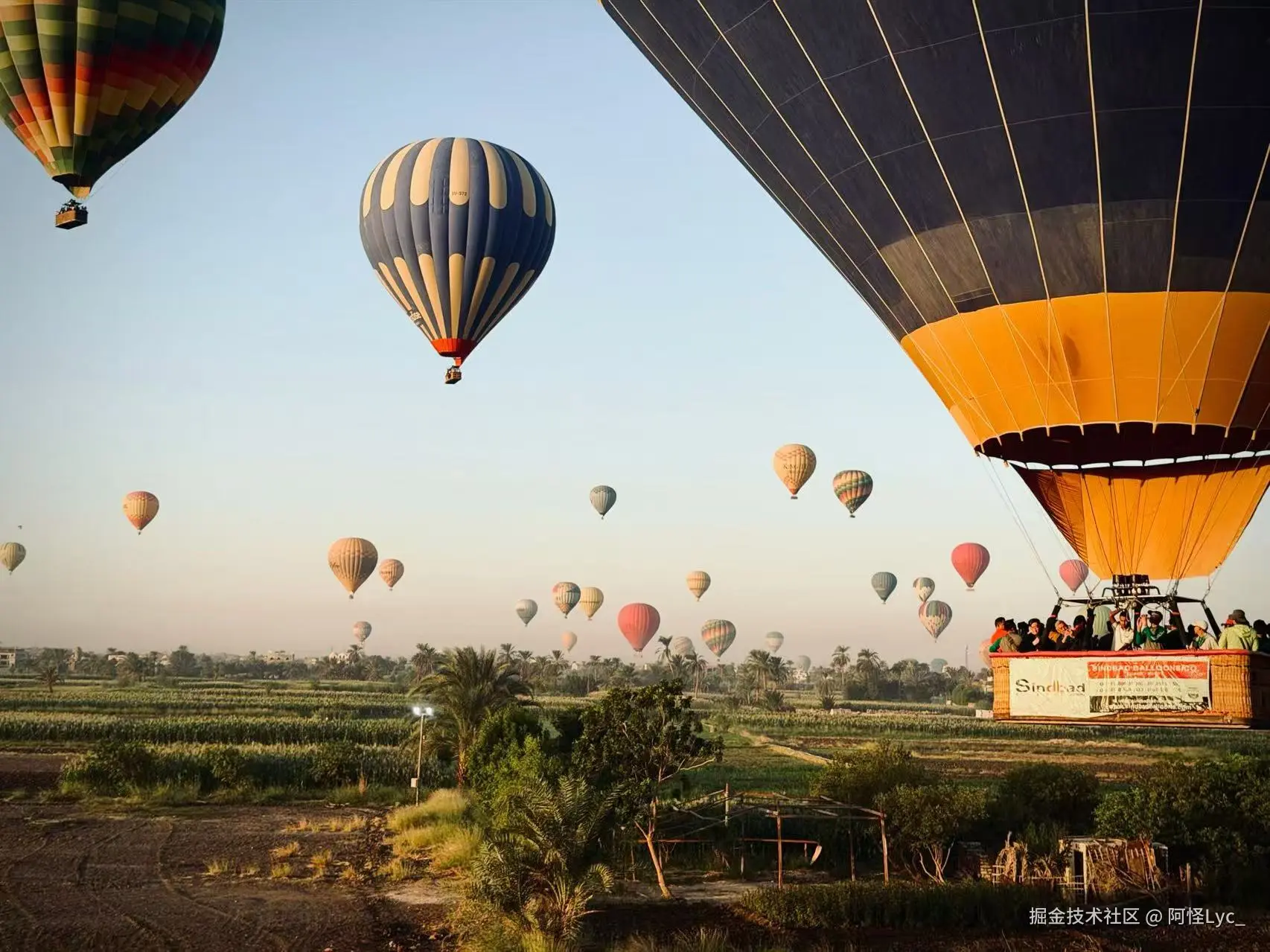 阿怪Lyc_于2026-03-19 10:05发布的图片