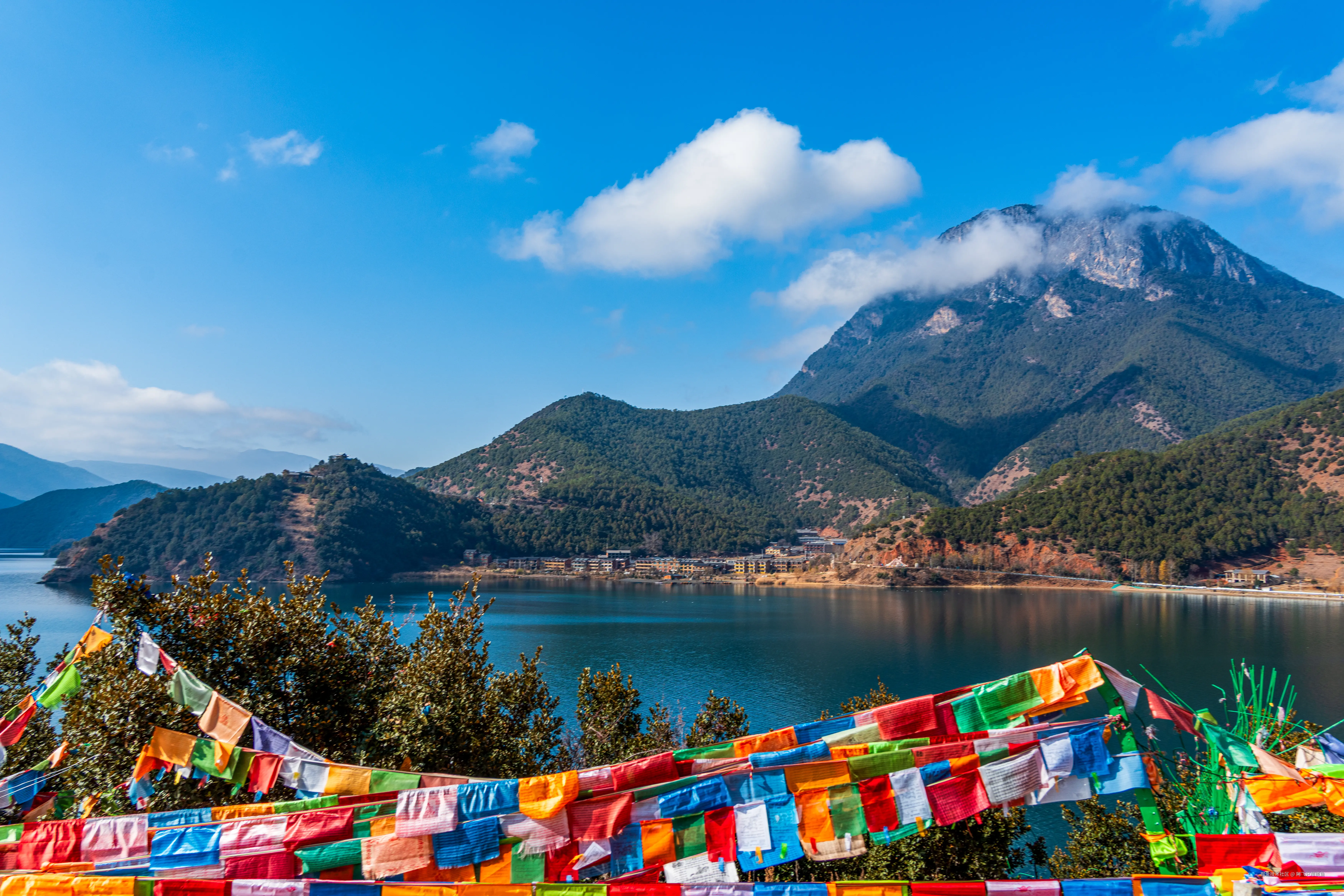 阿飞只想摸鱼于2026-02-11 14:46发布的图片