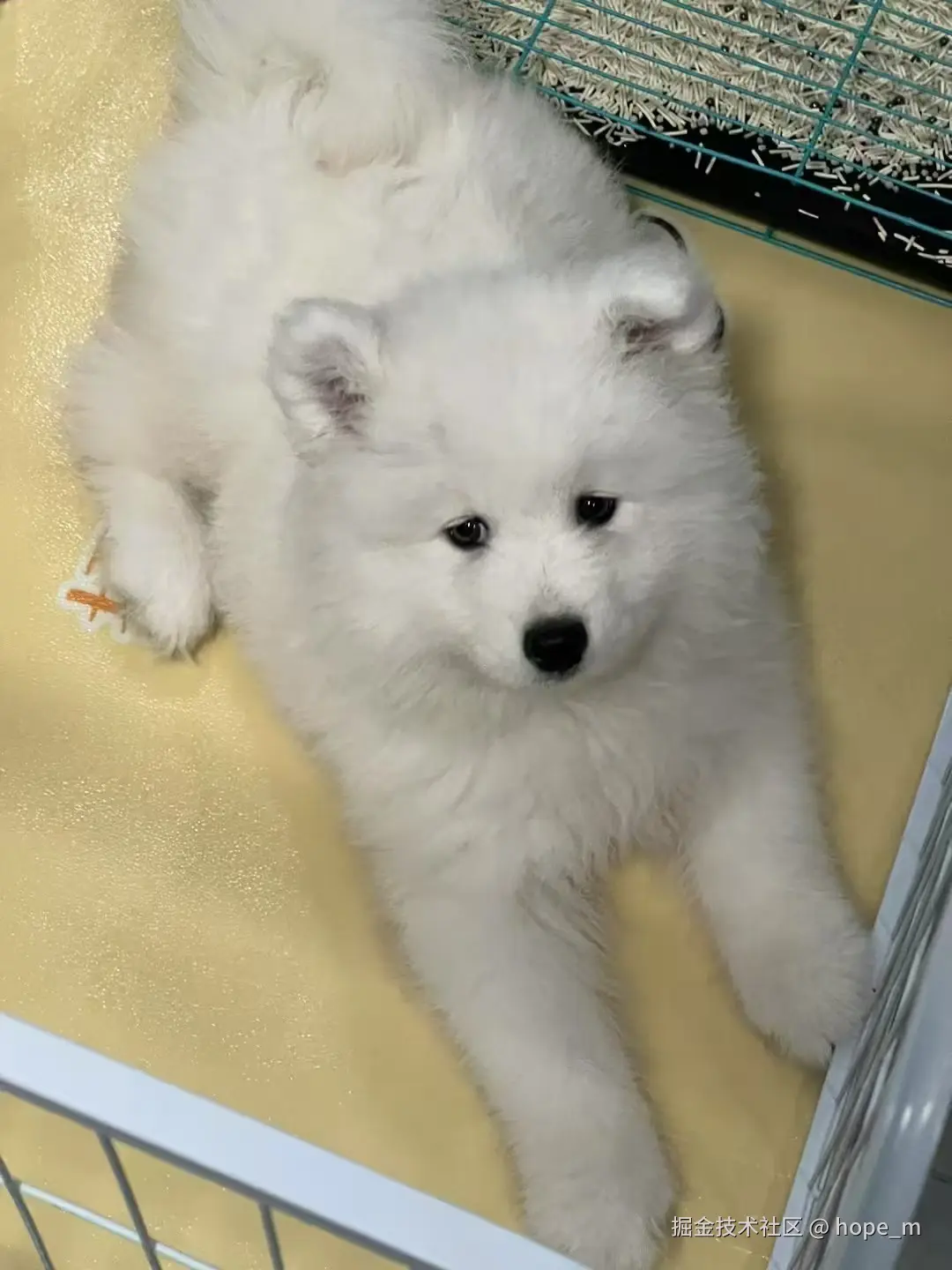 hope_m于2025-09-25 09:15发布的图片