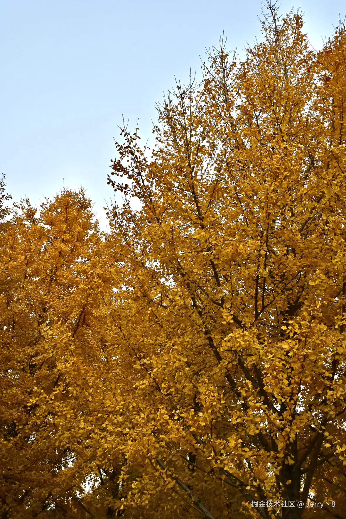 Jerry丶8于2025-12-08 10:12发布的图片