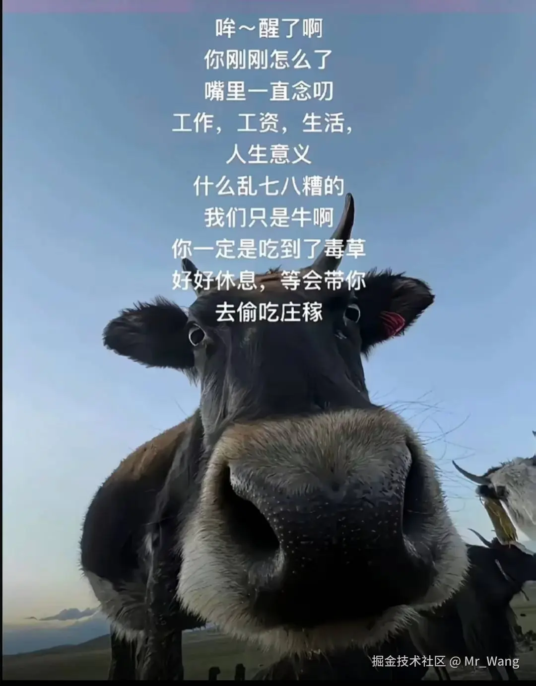 Mr_Wang于2025-10-30 01:59发布的图片