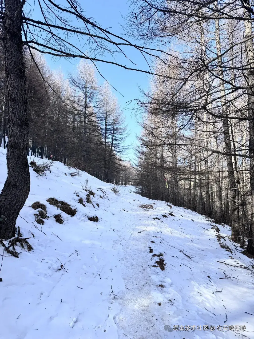 在云端写诗于2025-12-01 03:16发布的图片