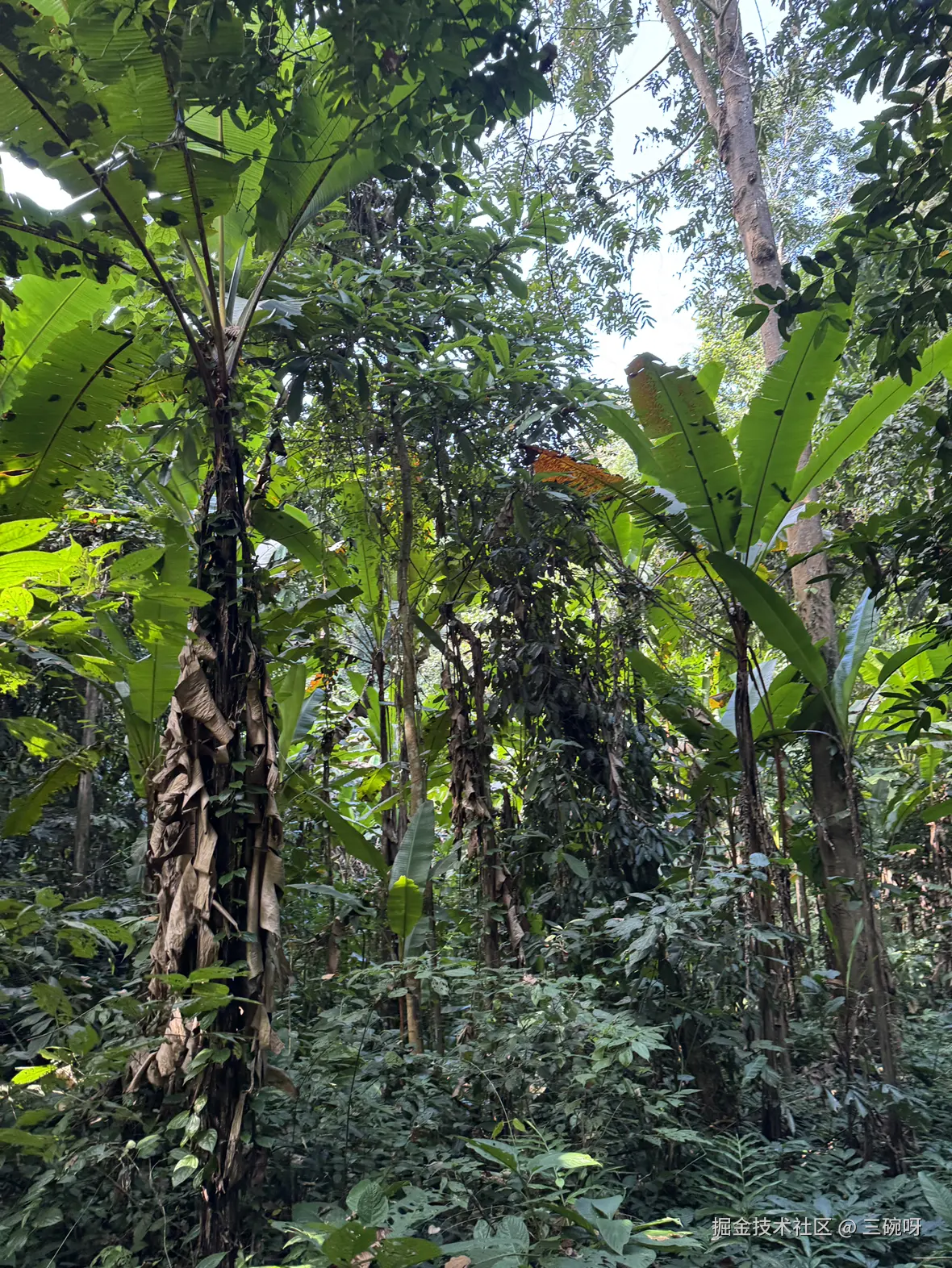 三碗呀于2024-12-16 10:36发布的图片