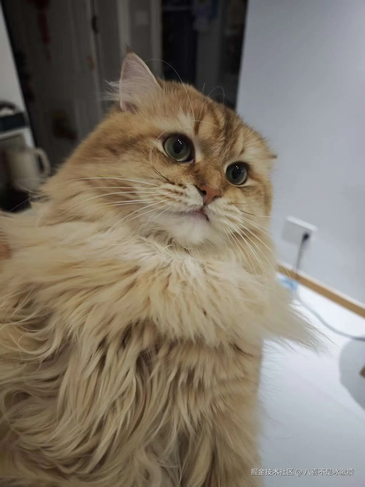 八喜不是冰激凌于2025-12-13 15:28发布的图片