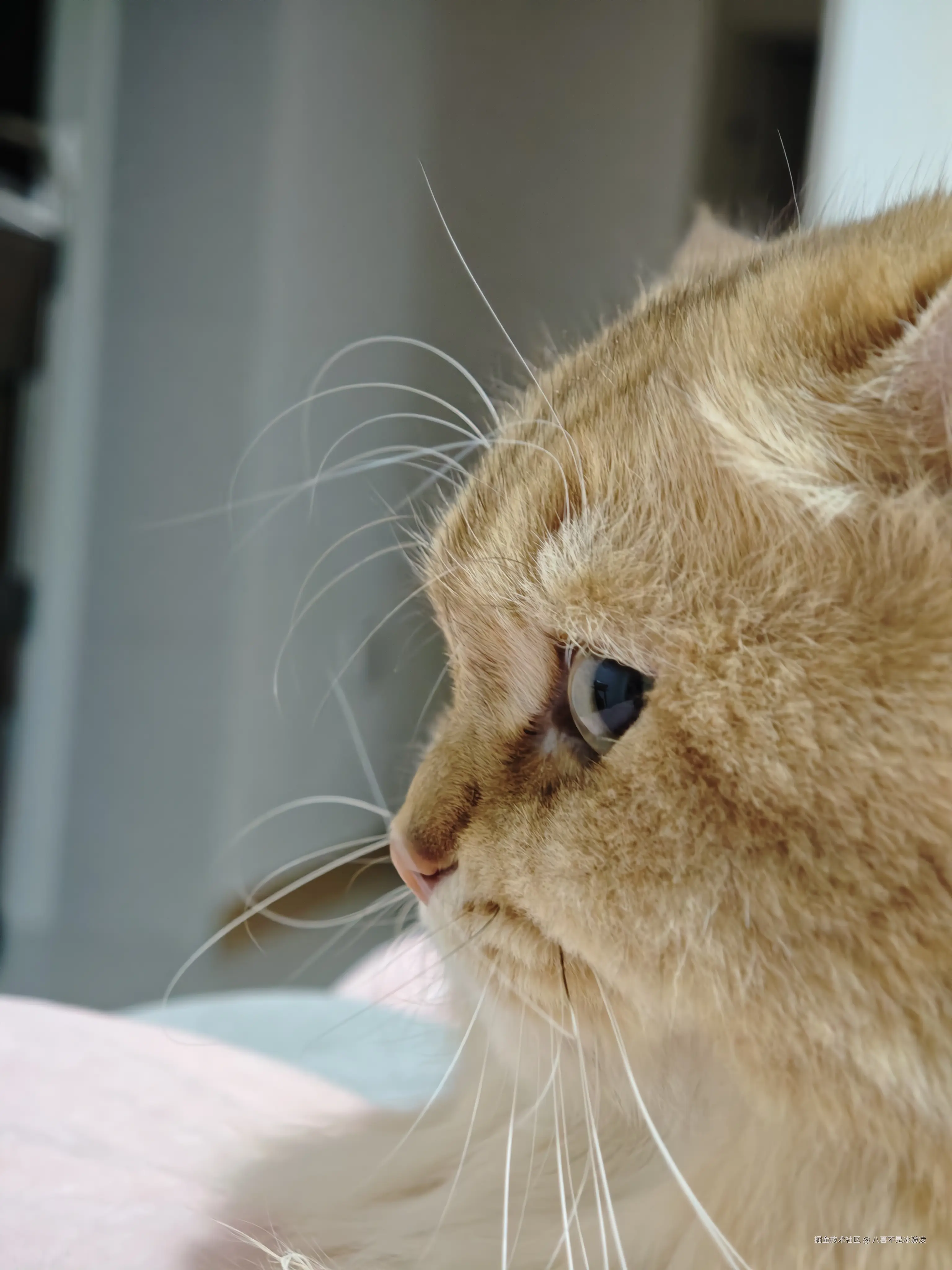 八喜不是冰激凌于2025-12-08 02:44发布的图片