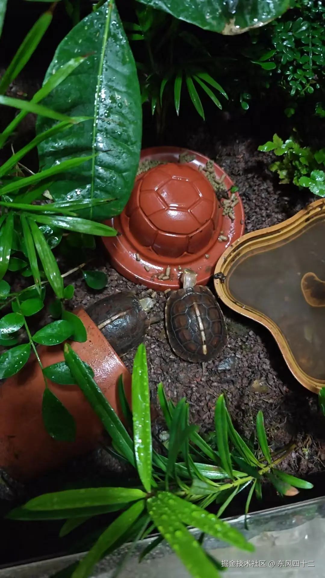 东风四十二于2025-05-16 09:59发布的图片