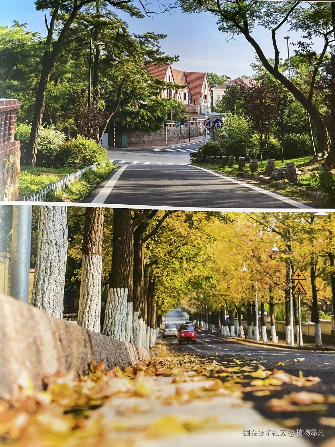 植物昂光于2026-04-23 21:31发布的图片