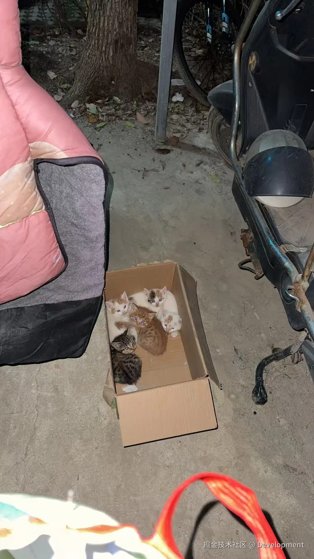 Development于2025-11-13 15:40发布的图片