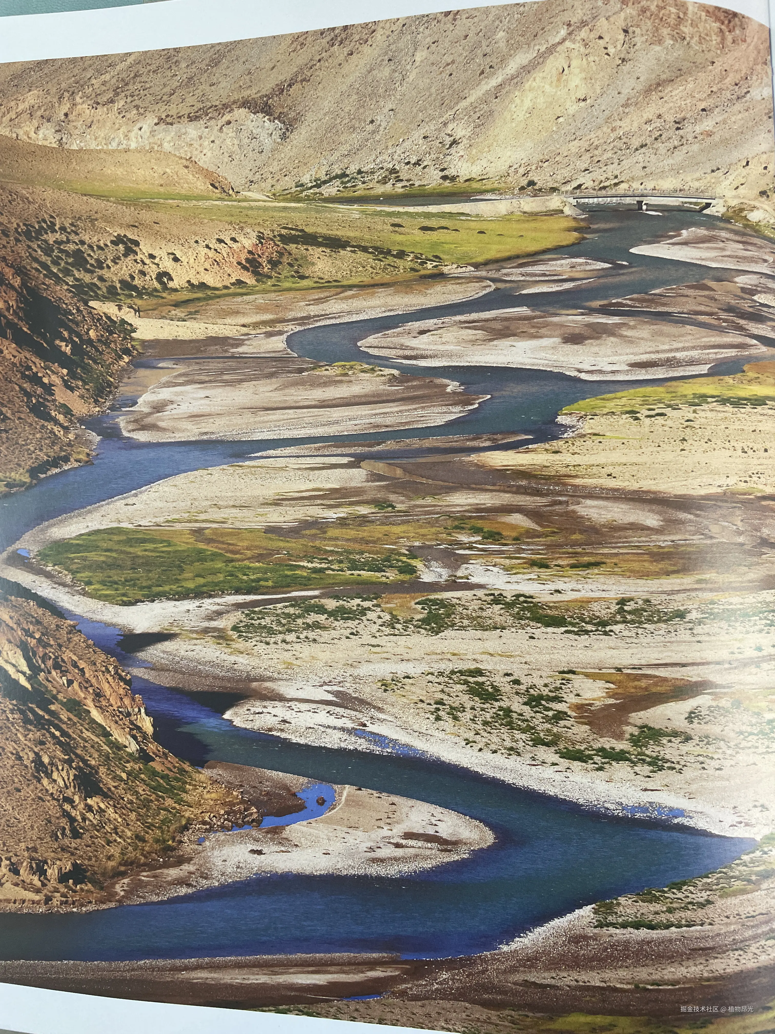 植物昂光于2026-02-08 14:39发布的图片