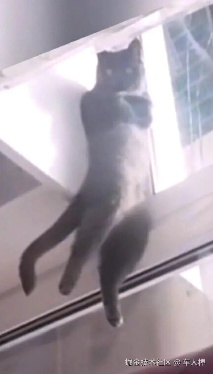 车大棒于2025-07-11 17:39发布的图片