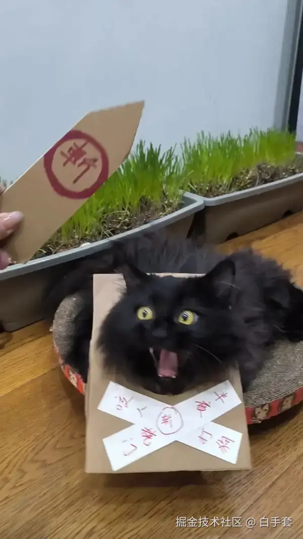 白手套于2026-01-11 15:43发布的图片