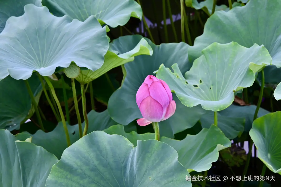 不想上班的第N天于2025-07-21 10:37发布的图片