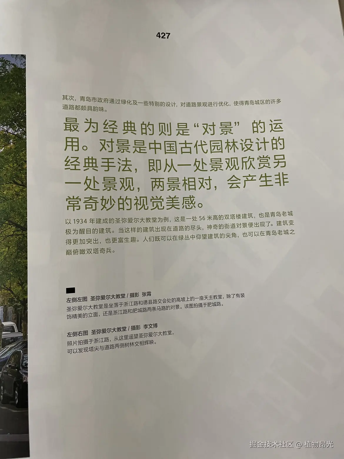 植物昂光于2026-04-23 21:31发布的图片