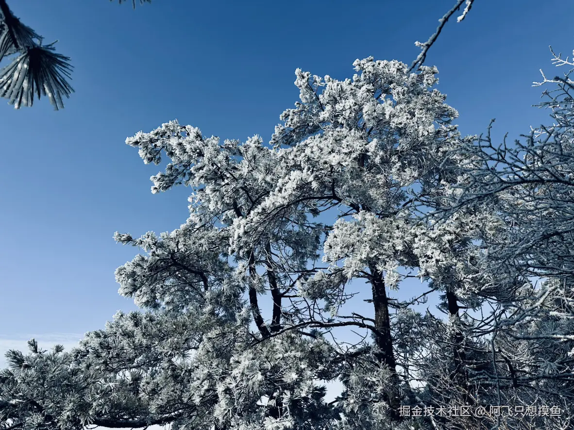 阿飞只想摸鱼于2026-02-11 14:33发布的图片