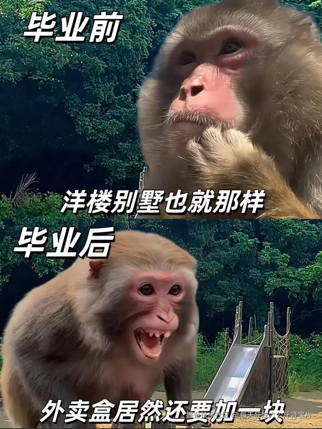 每天狂炫六公斤肾宝片于2024-07-30 16:50发布的图片