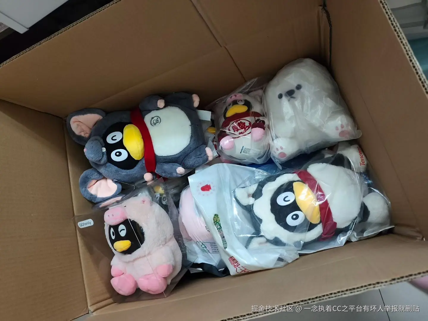 一念执着CC之平台有坏人举报就删贴于2025-11-10 17:00发布的图片