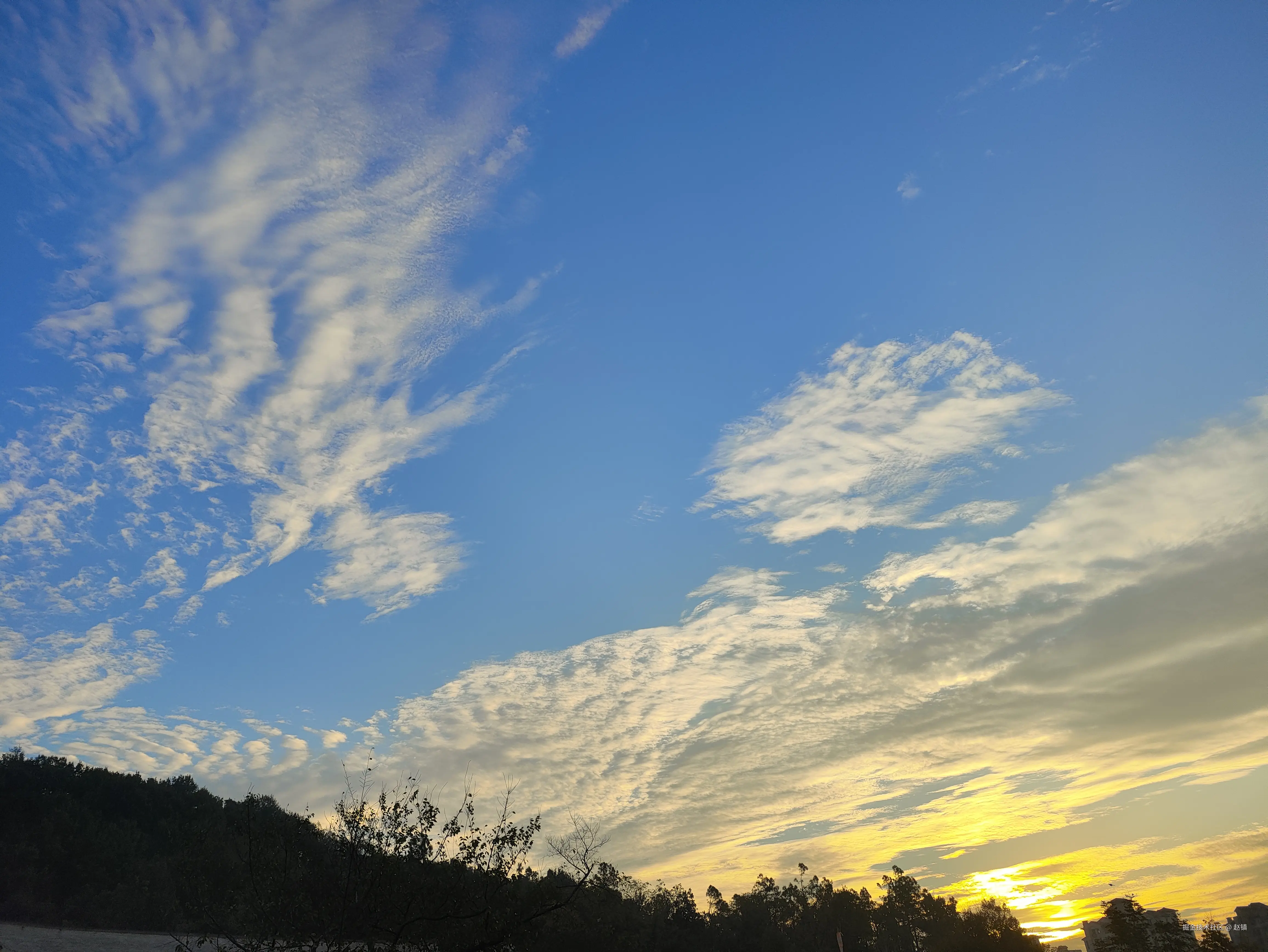 赵镇于2024-11-08 14:53发布的图片