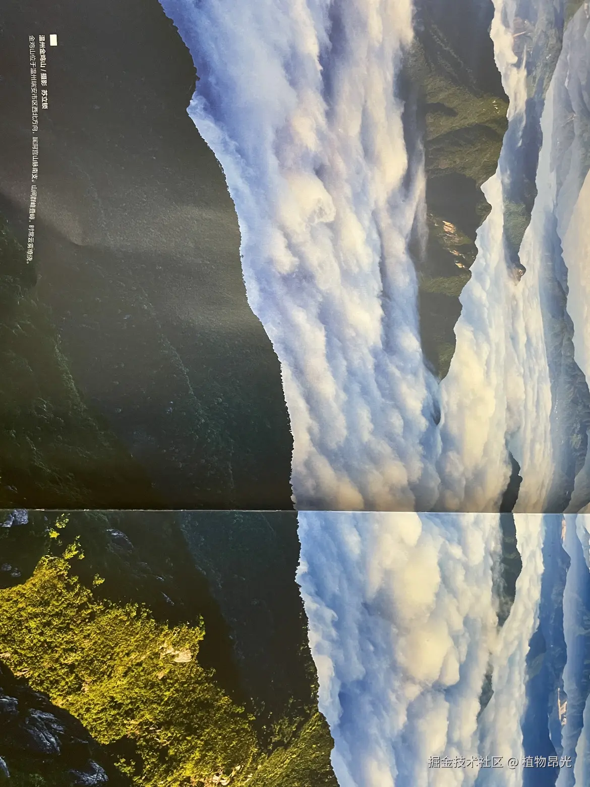 植物昂光于2026-04-14 20:57发布的图片