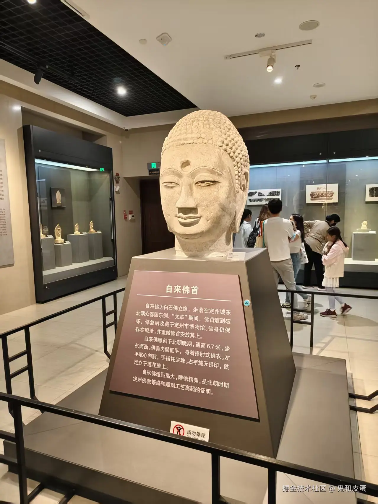 鬼和皮蛋于2026-05-08 11:23发布的图片
