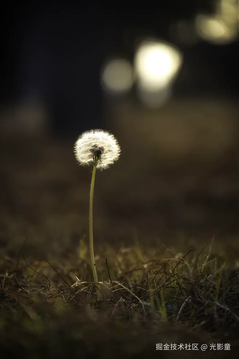 光影童于2026-01-05 10:52发布的图片