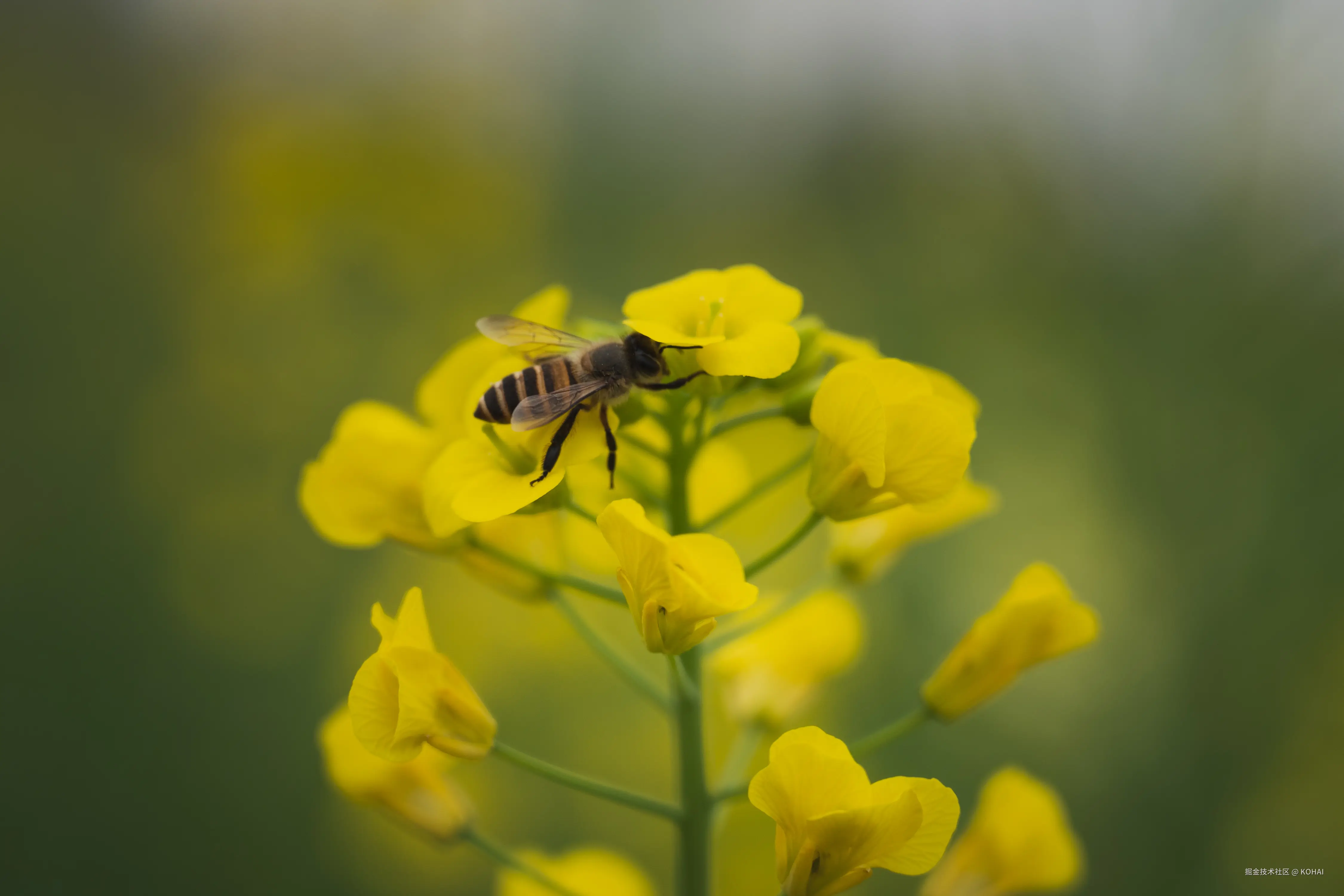 KOHAI于2025-03-10 11:38发布的图片