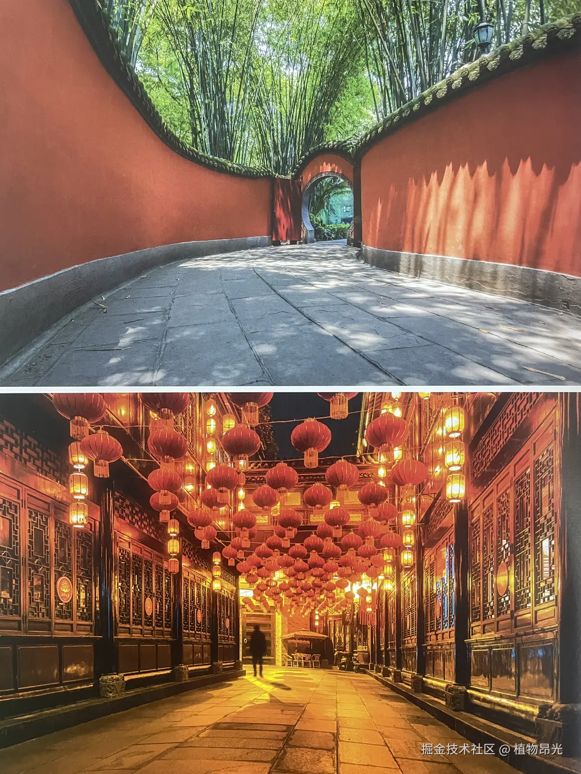 植物昂光于2026-04-04 17:22发布的图片