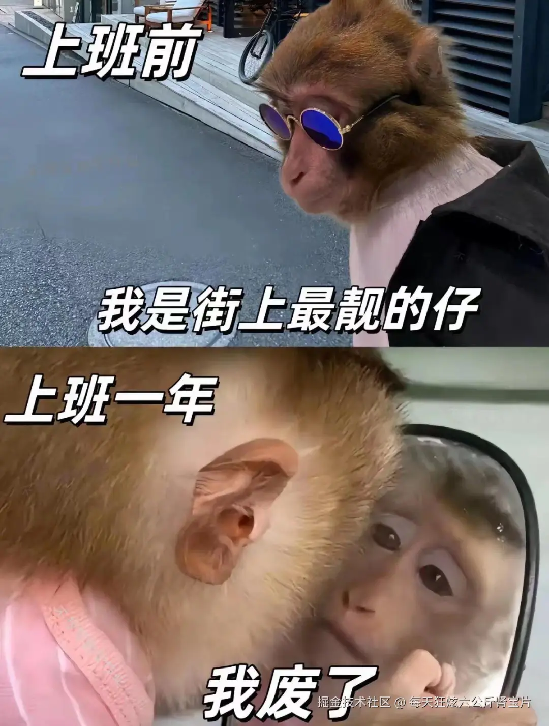 每天狂炫六公斤肾宝片于2024-07-30 16:50发布的图片