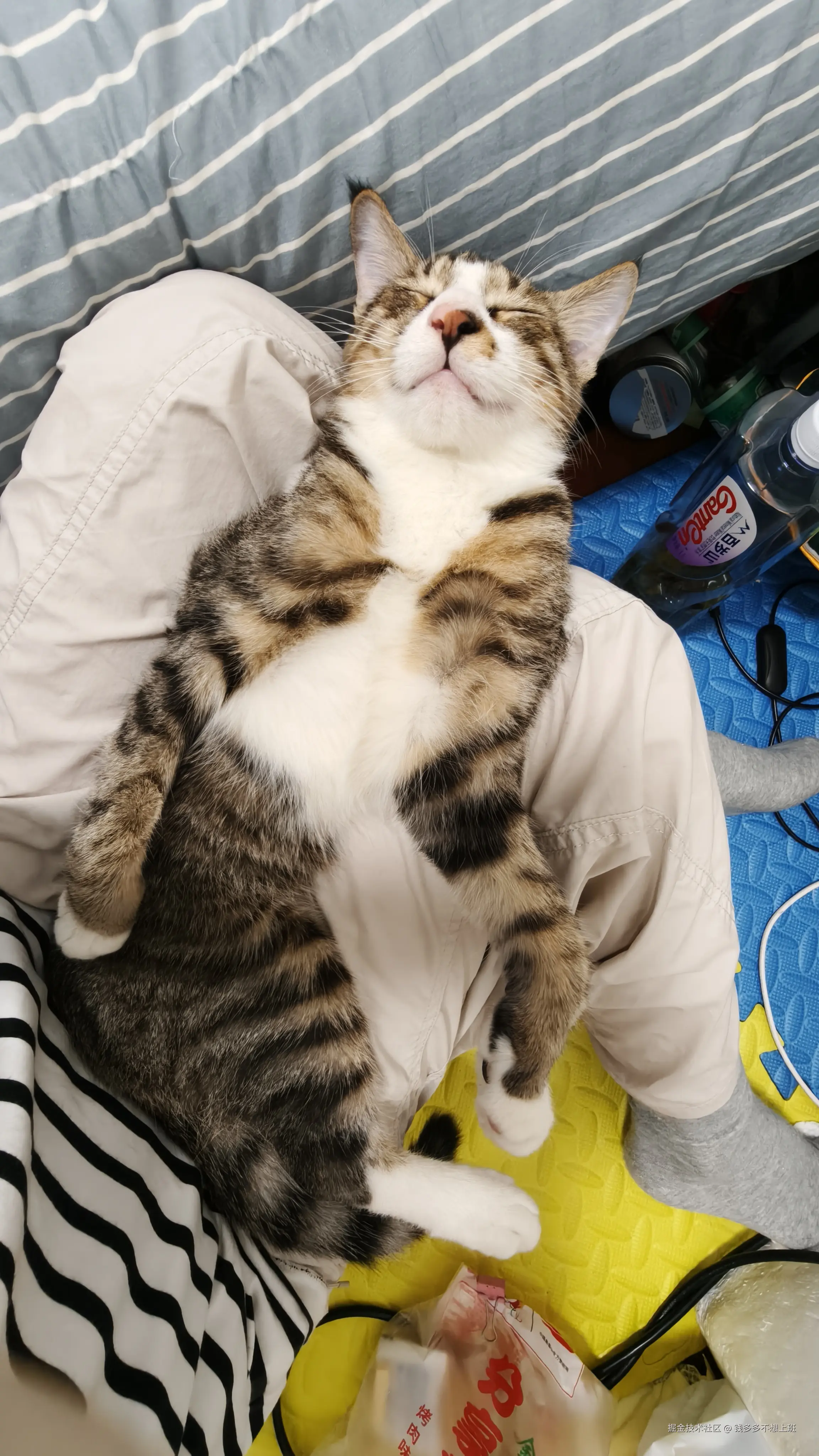 钱多多不想上班于2025-10-17 13:58发布的图片