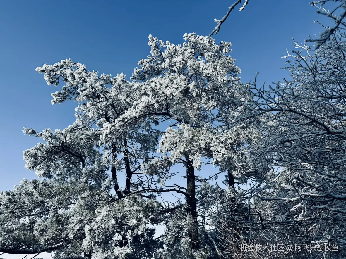 阿飞只想摸鱼于2026-02-11 14:33发布的图片