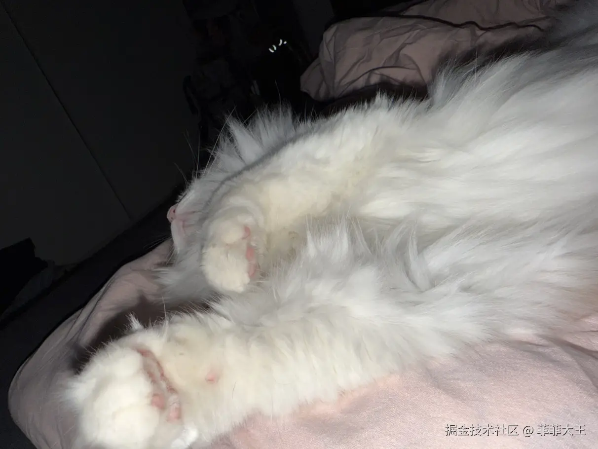 菲菲大王于2025-11-18 11:09发布的图片