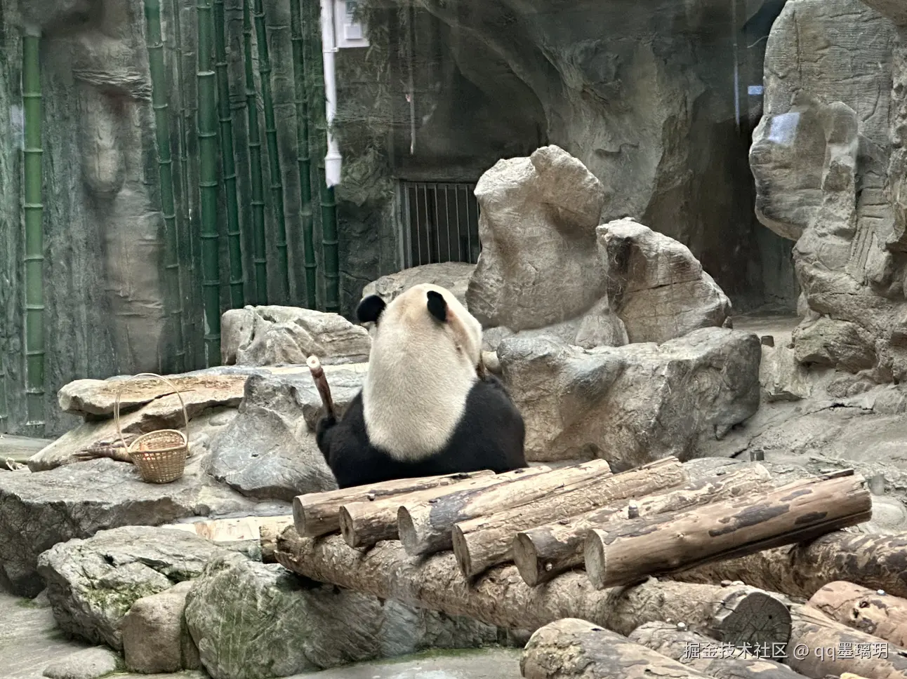 qq墨璃玥于2024-10-25 15:19发布的图片