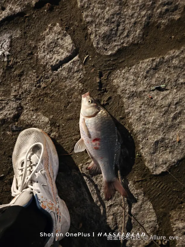 Allure_eve于2024-11-11 09:49发布的图片