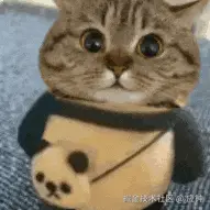 应钟于2026-03-18 16:56发布的图片