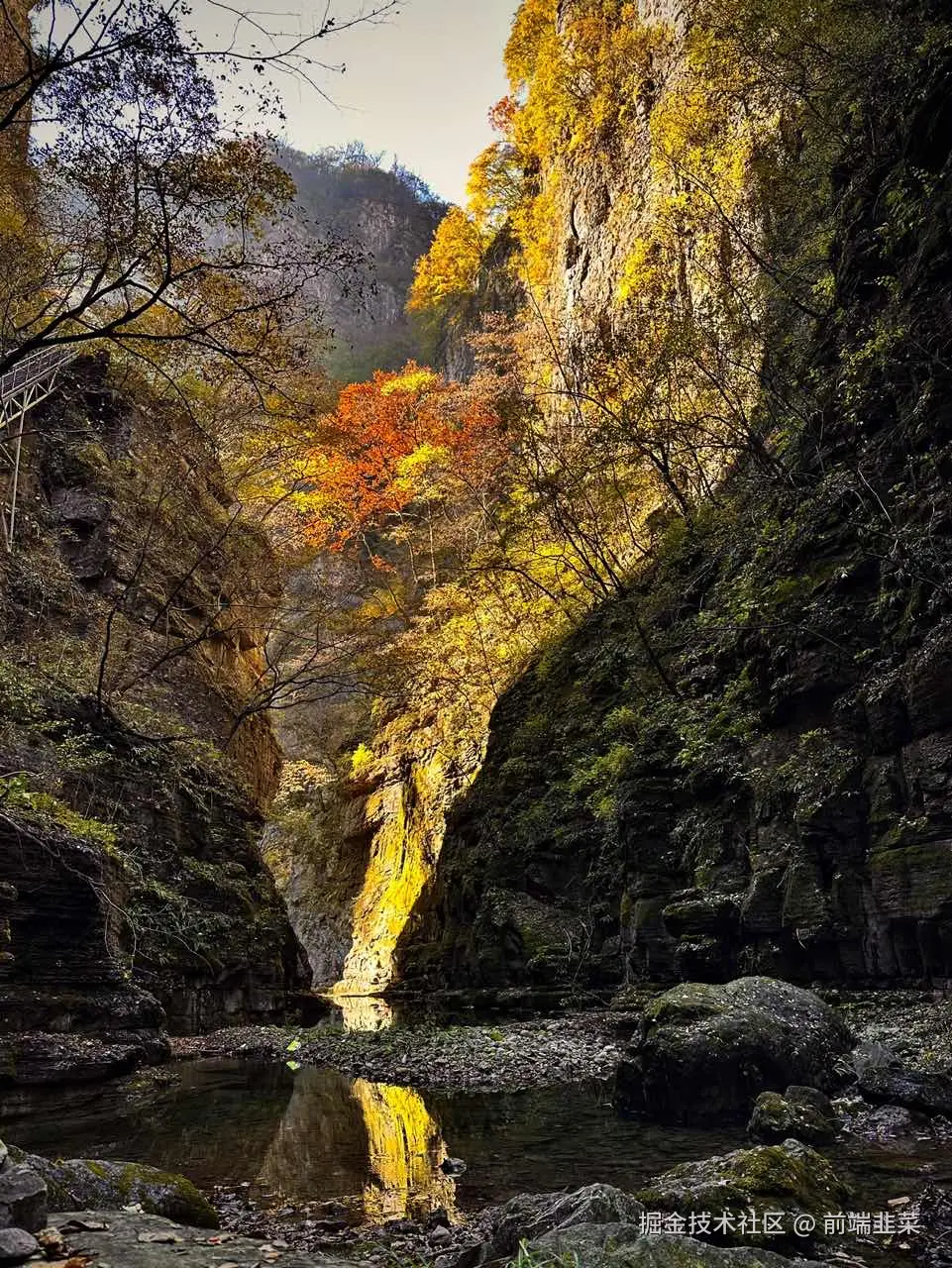 前端韭菜于2024-11-04 17:26发布的图片