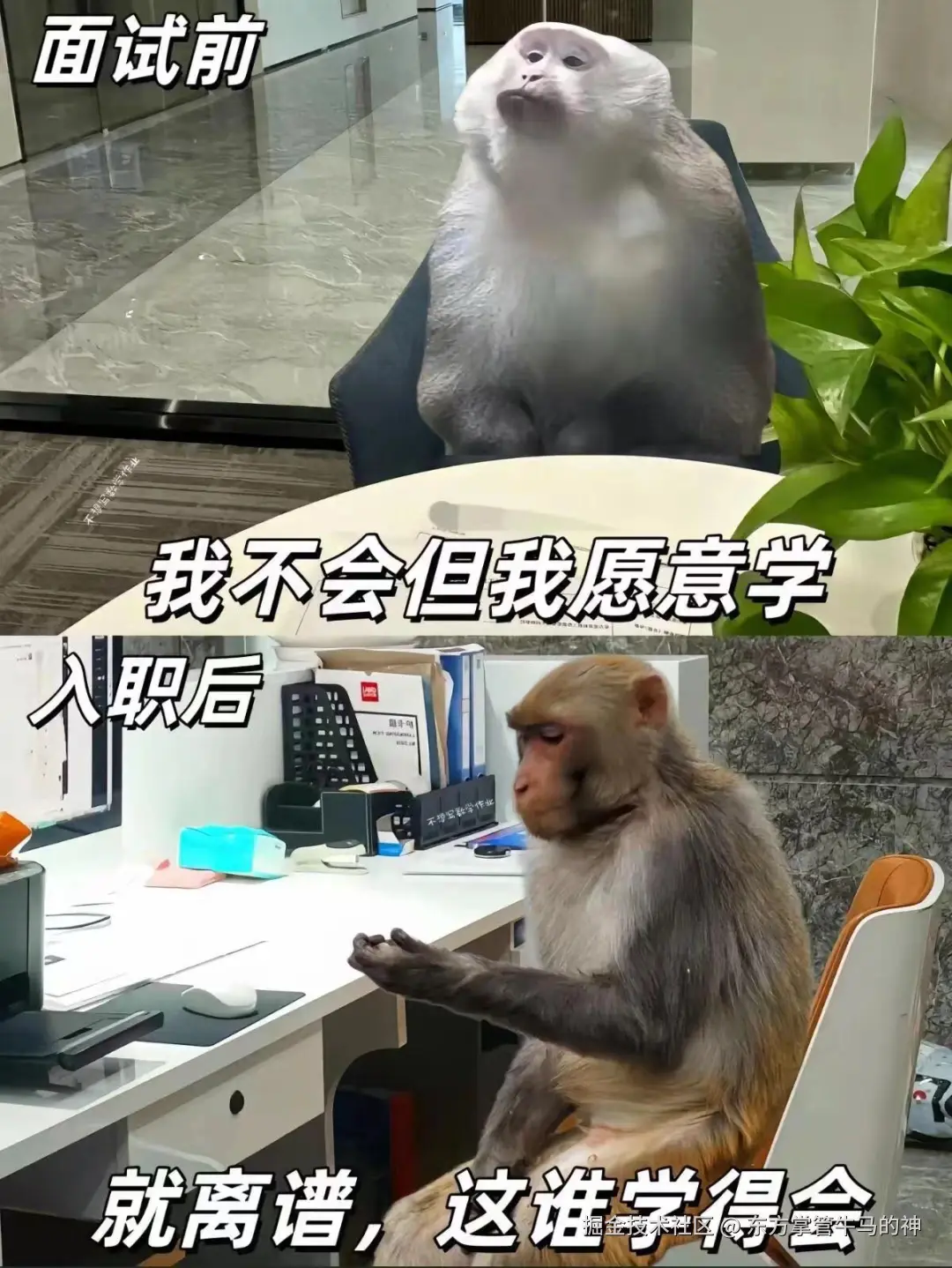 东方掌管牛马的神于2024-07-30 16:50发布的图片