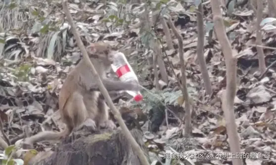 不想上班的章鱼哥于2025-01-07 15:02发布的图片