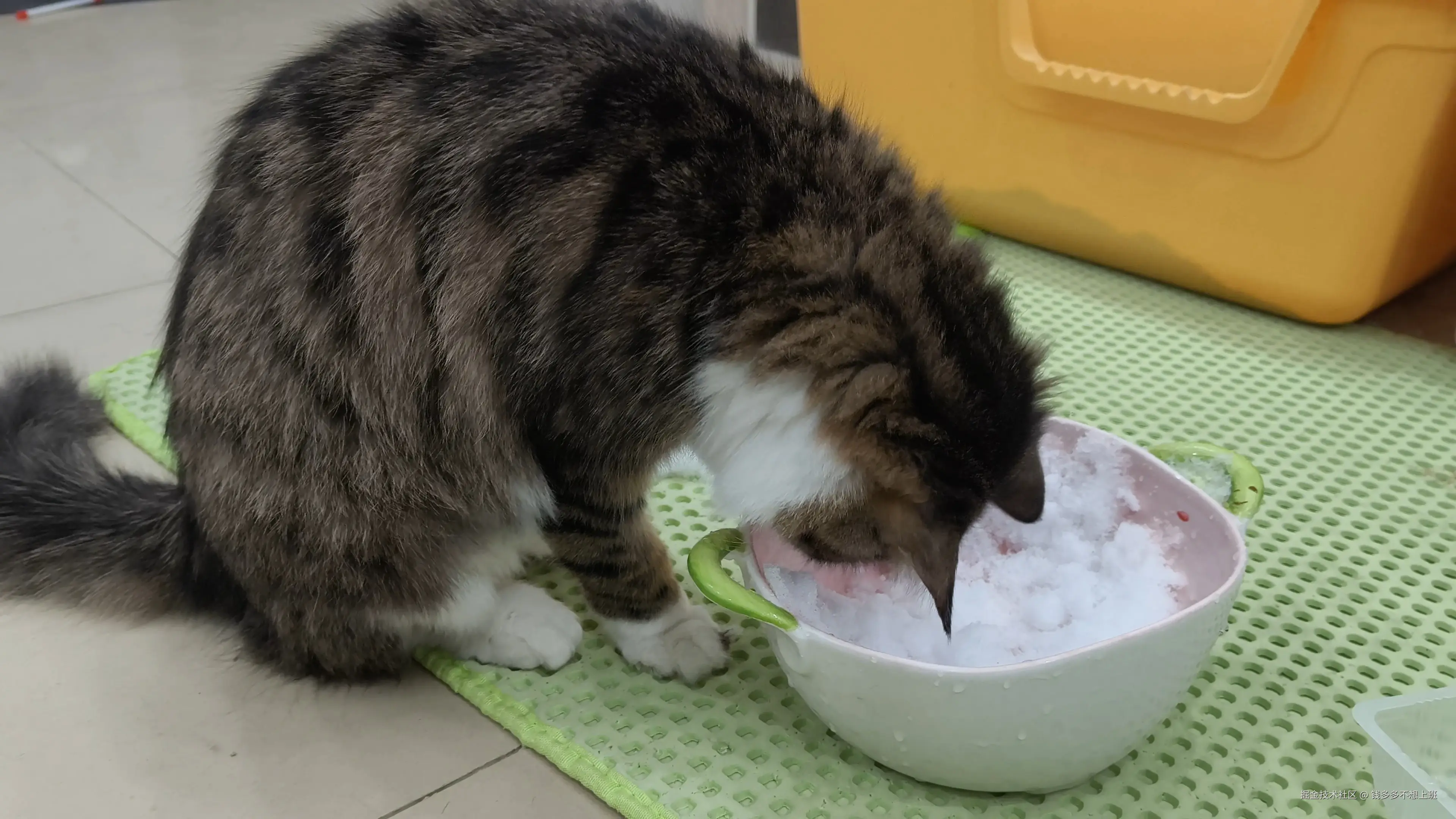 钱多多不想上班于2026-01-21 10:58发布的图片