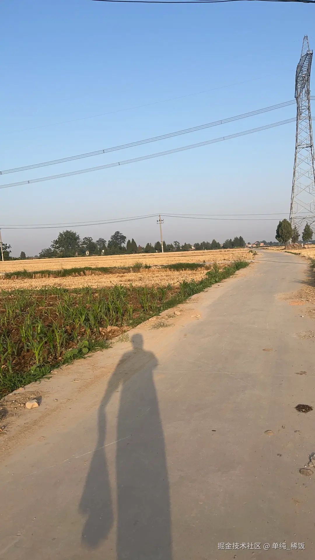 单纯_稀饭于2025-06-11 06:38发布的图片