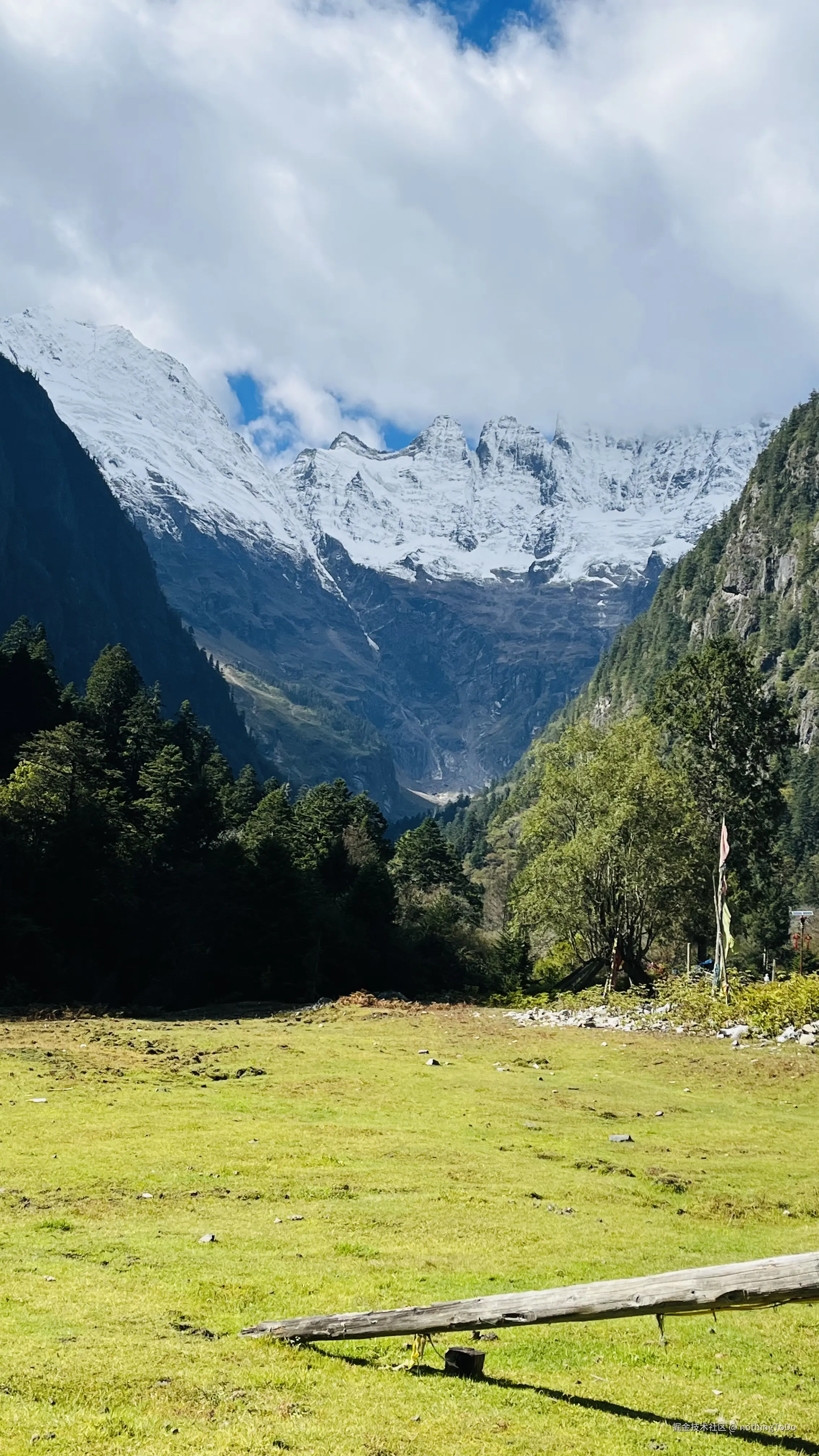 nothingToDo于2025-04-10 15:10发布的图片