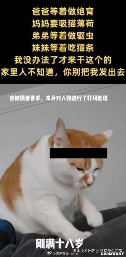 该说什么好那于2025-10-28 15:57发布的图片